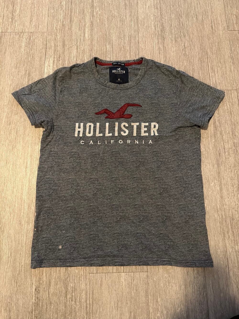 Hollister Gray Short Sleeve Tee with Red Gull Logo